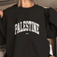 Palestine Jersey Style Hoodie or Sweatshirt