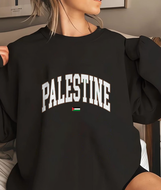 Palestine Jersey Style Hoodie or Sweatshirt